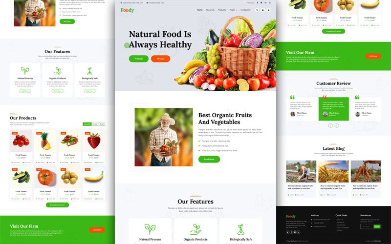 organic food website template